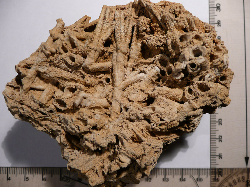 Che cos'', come classificarlo?